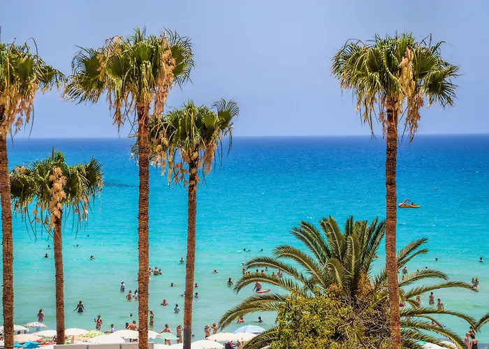 Hotel Vassos Nissi & 4*